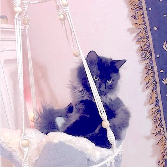 Hp🐾 🐈‍⬛Uniquely Handcrafted Stylish »-»Bohemian«-« Macramé Artistry Pet Beds🆕 - Picture 3 of 16